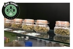 découvrez le top des cbd shops à saint-germain-en-laye en 2025 : notre sélection des meilleures boutiques pour acheter du cbd de qualité, conseils et avis d’experts inclus.