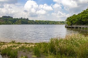 découvrez des opportunités uniques de rencontres à jugon-les-lacs. connectez-vous avec des personnes partageant vos intérêts dans ce cadre charmant et convivial.